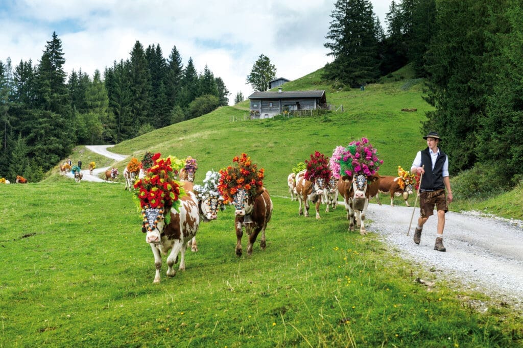 austrian alps