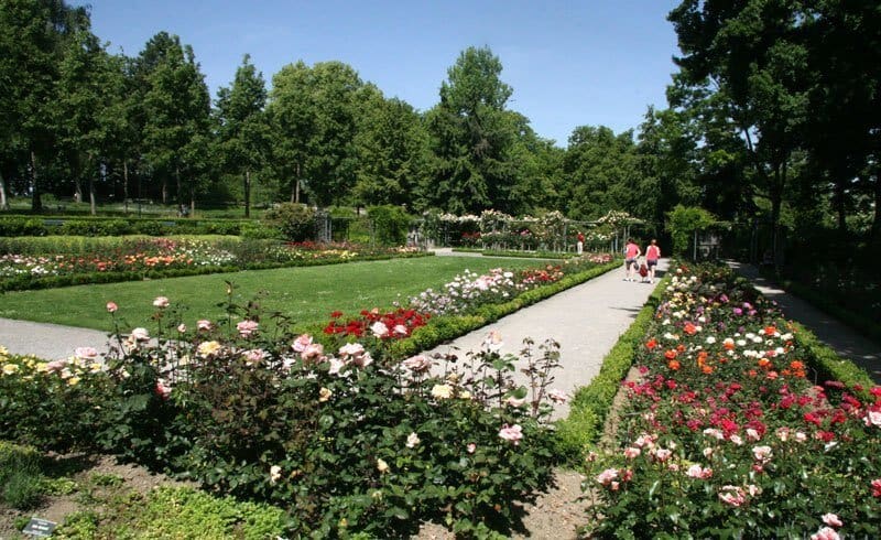 rose garden bern