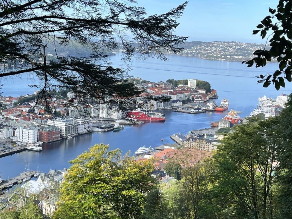 bergen view