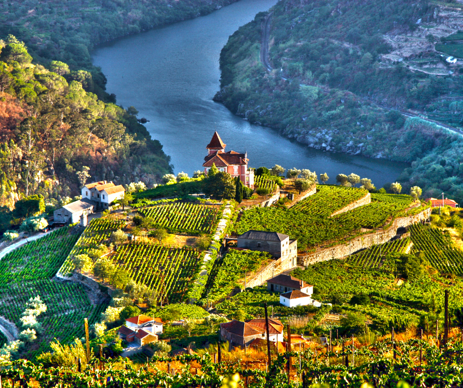 Aerial view and river with wine estate in Douro Valley, Portugal