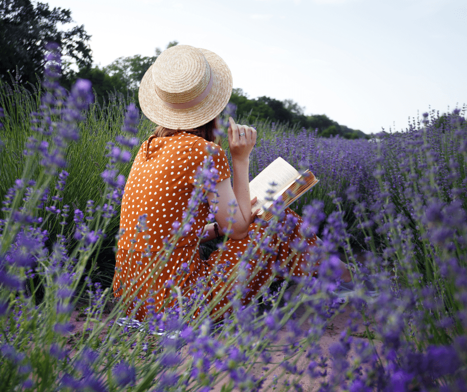 Provence-woman reading a book in a lavender field and basket with lavender