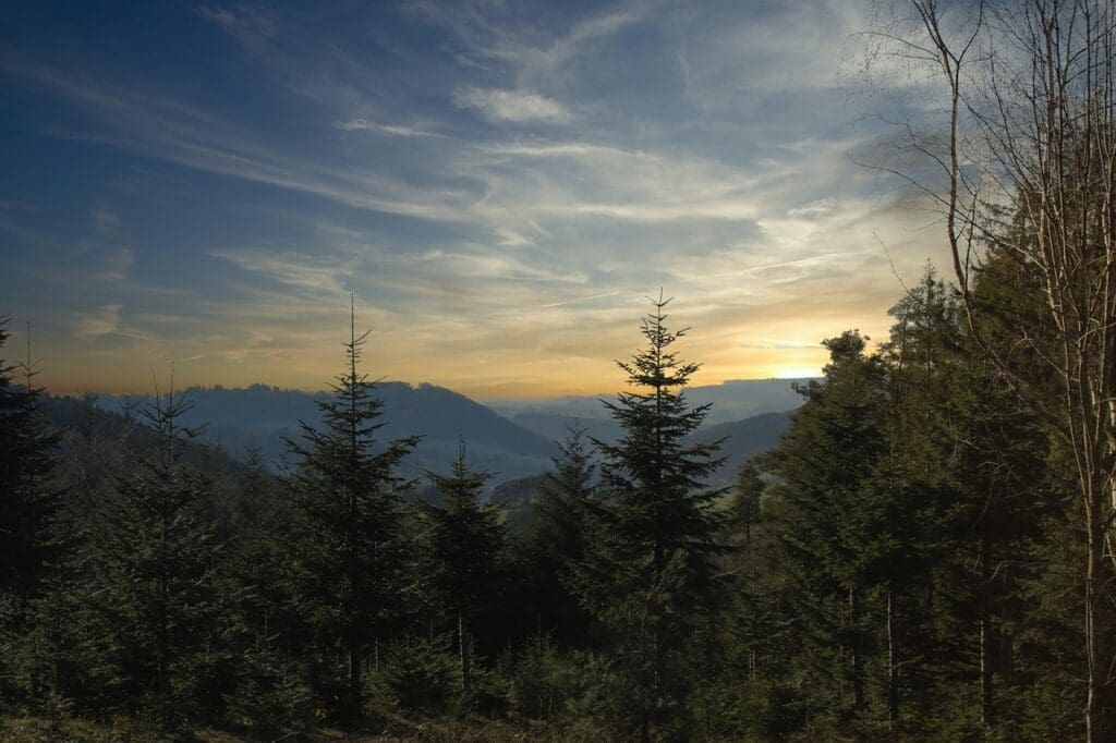 Schwarzwald Hochstrasse